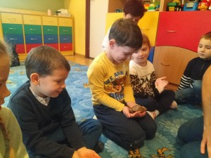 IMG20231120110431